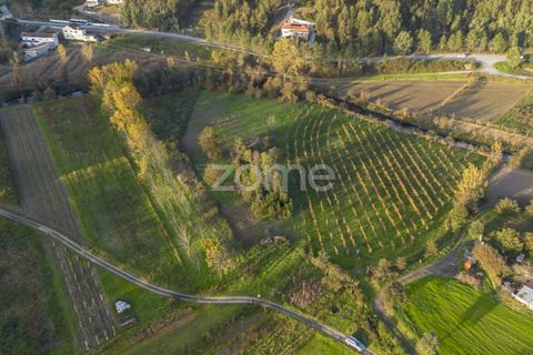 Terra a Sobreira, Porto, Sobreira - € 39.000 | Ref: ZMPT570602 - foto 4