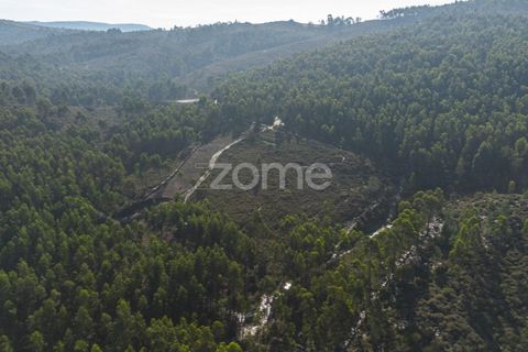 Terra a Sobreira, Porto, Sobreira - € 31.000 | Ref: ZMPT570597 - foto 7
