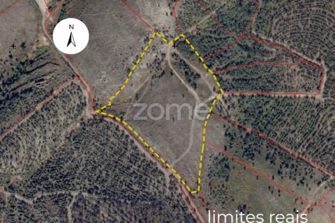 Terra a Sobreira, Porto, Sobreira - € 31.000 | Ref: ZMPT570597 - foto 3