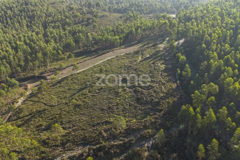 Terra a Sobreira, Porto, Sobreira - € 31.000 | Ref: ZMPT570597 - foto 4