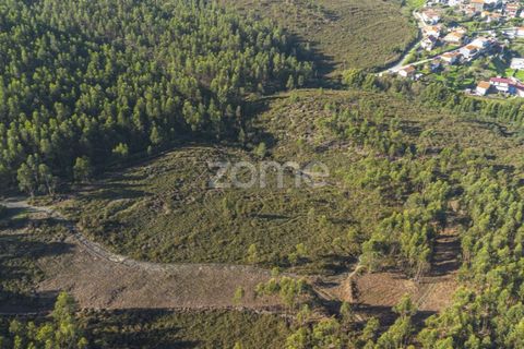 Terra a Sobreira, Porto, Sobreira - € 31.000 | Ref: ZMPT570597 - foto 6