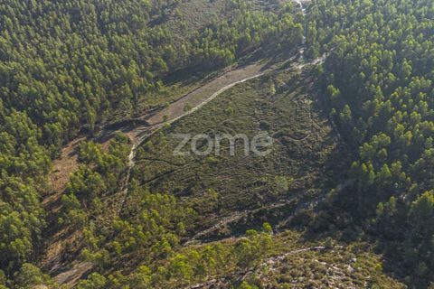 Terra a Sobreira, Porto, Sobreira - € 31.000 | Ref: ZMPT570597 - foto 2