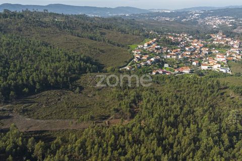 Terra a Sobreira, Porto, Sobreira - € 31.000 | Ref: ZMPT570597 - foto 5