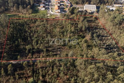 Terra a Argoncilhe, Aveiro, Argoncilhe - € 790.000 | Ref: ZMPT563841 - foto 21
