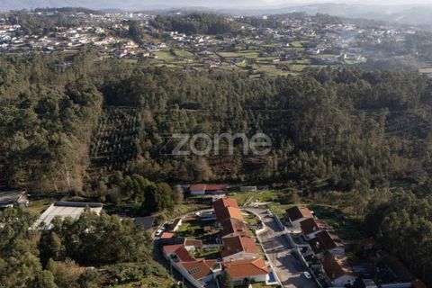 Terra a Argoncilhe, Aveiro, Argoncilhe - € 790.000 | Ref: ZMPT563841 - foto 4