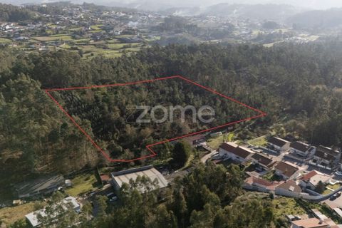 Terra a Argoncilhe, Aveiro, Argoncilhe - € 790.000 | Ref: ZMPT563841 - foto 5