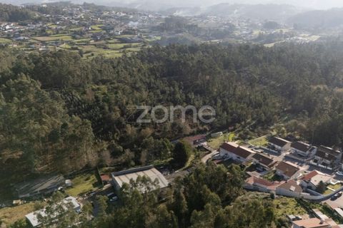 Terra a Argoncilhe, Aveiro, Argoncilhe - € 790.000 | Ref: ZMPT563841 - foto 6