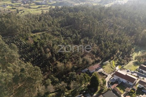 Terra a Argoncilhe, Aveiro, Argoncilhe - € 790.000 | Ref: ZMPT563841 - foto 7