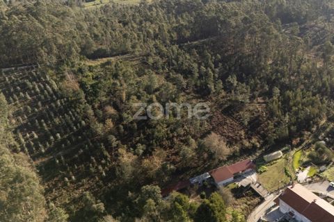 Terra a Argoncilhe, Aveiro, Argoncilhe - € 790.000 | Ref: ZMPT563841 - foto 8
