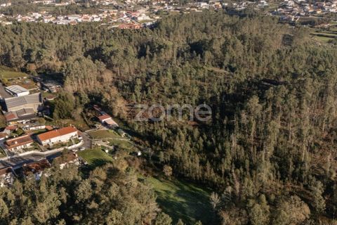 Terra a Argoncilhe, Aveiro, Argoncilhe - € 790.000 | Ref: ZMPT563841 - foto 10
