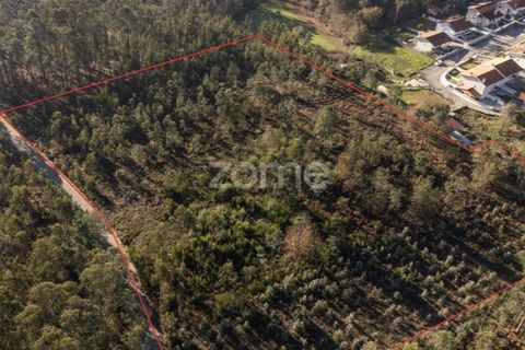 Terra a Argoncilhe, Aveiro, Argoncilhe - € 790.000 | Ref: ZMPT563841 - foto 11