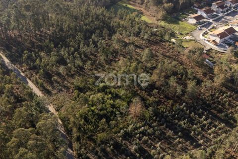 Terra a Argoncilhe, Aveiro, Argoncilhe - € 790.000 | Ref: ZMPT563841 - foto 12