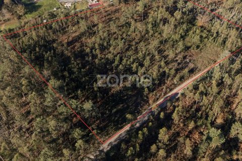 Terra a Argoncilhe, Aveiro, Argoncilhe - € 790.000 | Ref: ZMPT563841 - foto 16