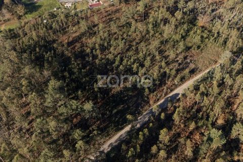 Terra a Argoncilhe, Aveiro, Argoncilhe - € 790.000 | Ref: ZMPT563841 - foto 17