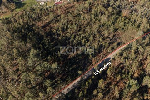 Terra a Argoncilhe, Aveiro, Argoncilhe - € 790.000 | Ref: ZMPT563841 - foto 18