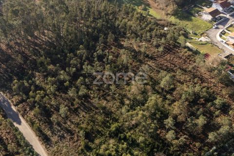 Terra a Argoncilhe, Aveiro, Argoncilhe - € 790.000 | Ref: ZMPT563841 - foto 19
