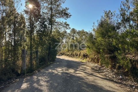 Terra a Argoncilhe, Aveiro, Argoncilhe - € 790.000 | Ref: ZMPT563841 - foto 20