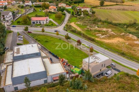 Terra a Pousa, Braga, Pousa - € 49.000 | Ref: ZMPT572365 - foto 15