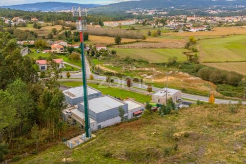 Terra a Pousa, Braga, Pousa - € 49.000 | Ref: ZMPT572365 - foto 16