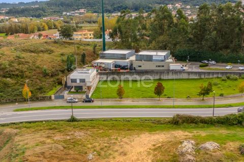 Terra a Pousa, Braga, Pousa - € 49.000 | Ref: ZMPT572365 - foto 7