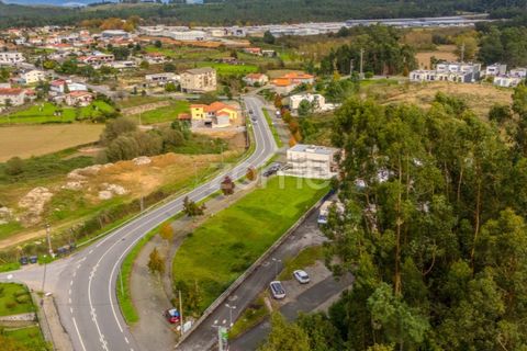 Terra a Pousa, Braga, Pousa - € 49.000 | Ref: ZMPT572365 - foto 11