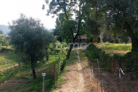 Villa i Cabeceiras de Basto, Braga, Cabeceiras de Basto - € 130.000 | Ref: ZMPT571032 - foto 4