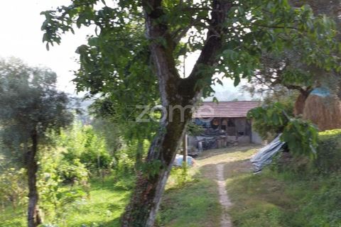 Villa i Cabeceiras de Basto, Braga, Cabeceiras de Basto - € 130.000 | Ref: ZMPT571032 - foto 5