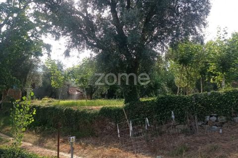 Villa i Cabeceiras de Basto, Braga, Cabeceiras de Basto - € 130.000 | Ref: ZMPT571032 - foto 7