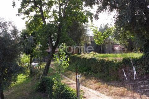 Villa i Cabeceiras de Basto, Braga, Cabeceiras de Basto - € 130.000 | Ref: ZMPT571032 - foto 8