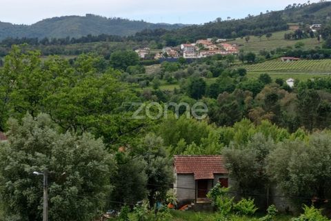 Villa i Cabeceiras de Basto, Braga, Cabeceiras de Basto - € 130.000 | Ref: ZMPT571032 - foto 11