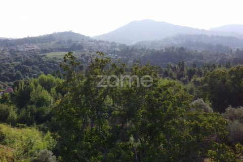 Villa i Cabeceiras de Basto, Braga, Cabeceiras de Basto - € 130.000 | Ref: ZMPT571032 - foto 14