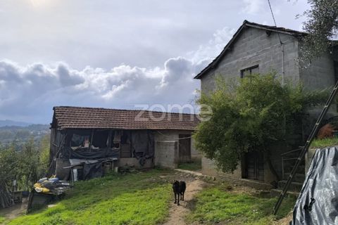 Villa i Cabeceiras de Basto, Braga, Cabeceiras de Basto - € 130.000 | Ref: ZMPT571032 - foto 16