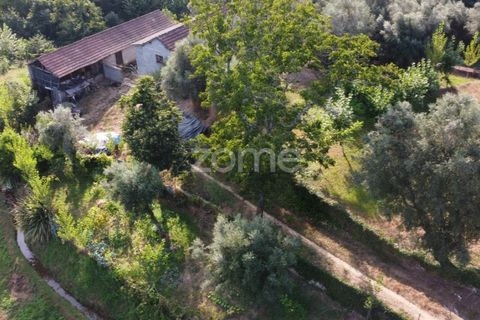 Villa i Cabeceiras de Basto, Braga, Cabeceiras de Basto - € 130.000 | Ref: ZMPT571032 - foto 1
