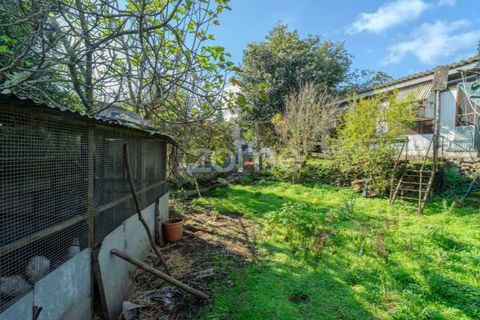 Villa i Eja, Porto, Eja - € 260.000 | Ref: ZMPT571951 - foto 43