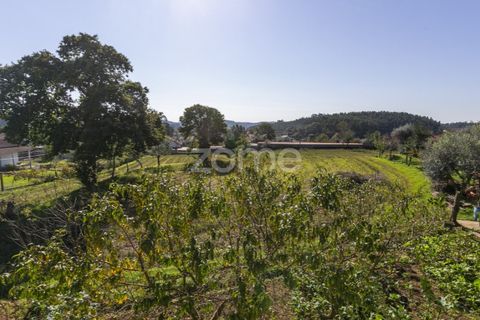Villa i Calvelo, Viana do Castelo, Calvelo - € 535.000 | Ref: ZMPT572171 - foto 43