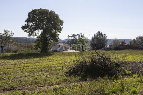 Villa i Calvelo, Viana do Castelo, Calvelo - € 535.000 | Ref: ZMPT572171 - foto 49