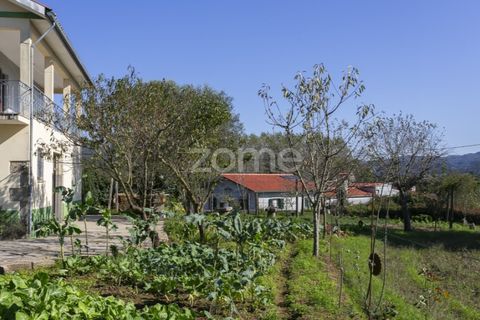 Villa i Calvelo, Viana do Castelo, Calvelo - € 535.000 | Ref: ZMPT572171 - foto 50