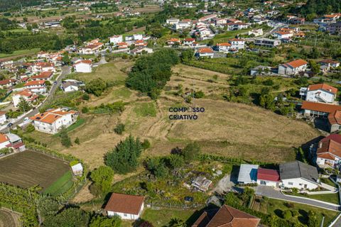 Terra a Longos, Braga, Longos - € 700.000 | Ref: 230120251 - foto 5