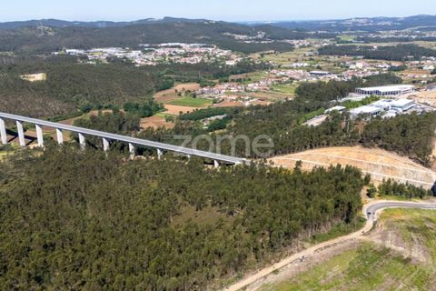 Terreno en Trofa, Porto, Trofa - € 290.000 | Ref: ZMPT570935 - photo 1
