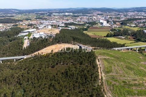 Terreno en Trofa, Porto, Trofa - € 290.000 | Ref: ZMPT570935 - photo 3