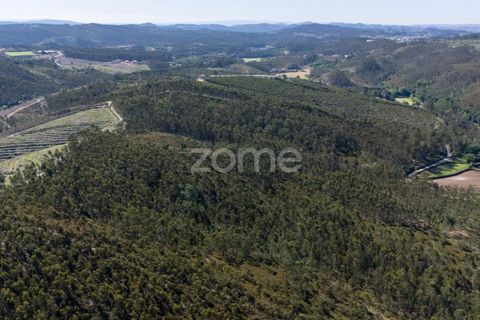 Terreno en Trofa, Porto, Trofa - € 290.000 | Ref: ZMPT570935 - photo 4