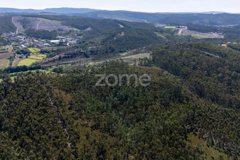 Terreno en Trofa, Porto, Trofa - € 290.000 | Ref: ZMPT570935 - photo 5