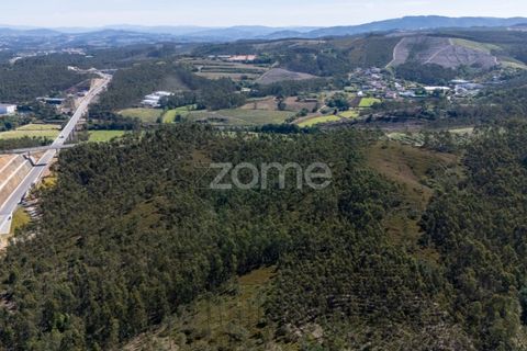 Terreno en Trofa, Porto, Trofa - € 290.000 | Ref: ZMPT570935 - photo 6
