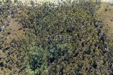 Terreno en Trofa, Porto, Trofa - € 290.000 | Ref: ZMPT570935 - photo 7