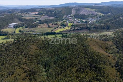 Terreno en Trofa, Porto, Trofa - € 290.000 | Ref: ZMPT570935 - photo 8