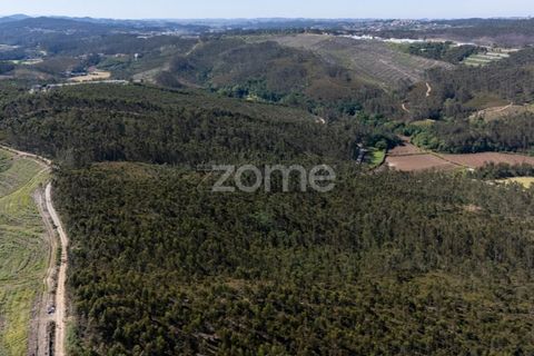 Terreno en Trofa, Porto, Trofa - € 290.000 | Ref: ZMPT570935 - photo 9