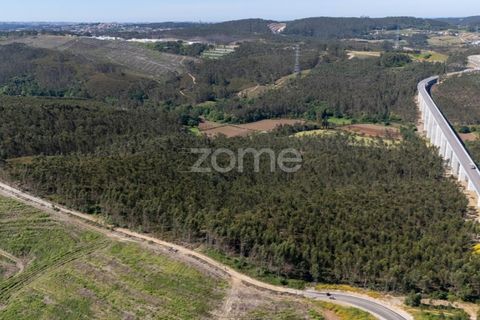 Terreno en Trofa, Porto, Trofa - € 290.000 | Ref: ZMPT570935 - photo 10