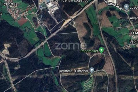 Terreno en Trofa, Porto, Trofa - € 290.000 | Ref: ZMPT570935 - photo 11