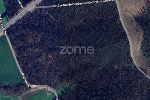 Terreno en Trofa, Porto, Trofa - € 290.000 | Ref: ZMPT570935 - photo 12