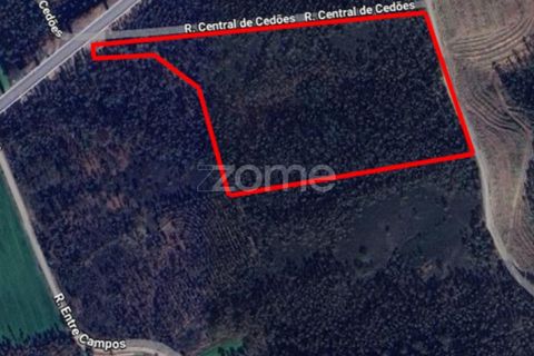 Terreno en Trofa, Porto, Trofa - € 290.000 | Ref: ZMPT570935 - photo 13